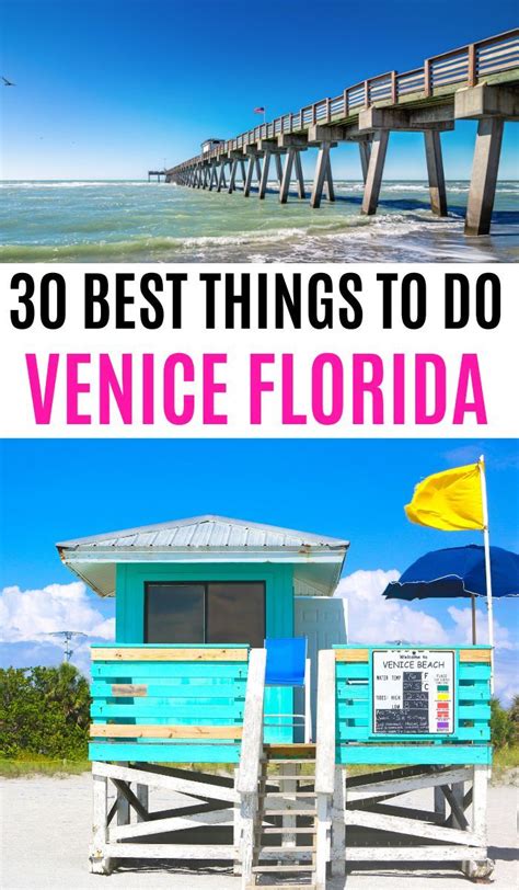 tripadvisor venice fl|what to do venice fl.